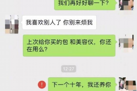 潮州为什么选择专业追讨公司来处理您的债务纠纷？